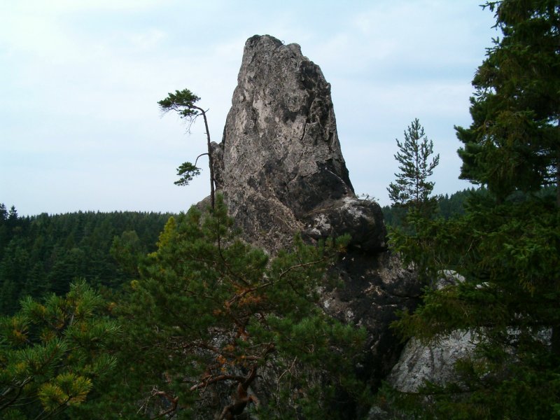 Kliknutím zavřete okno.