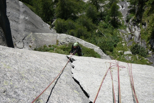 Orecchio del pachiderma