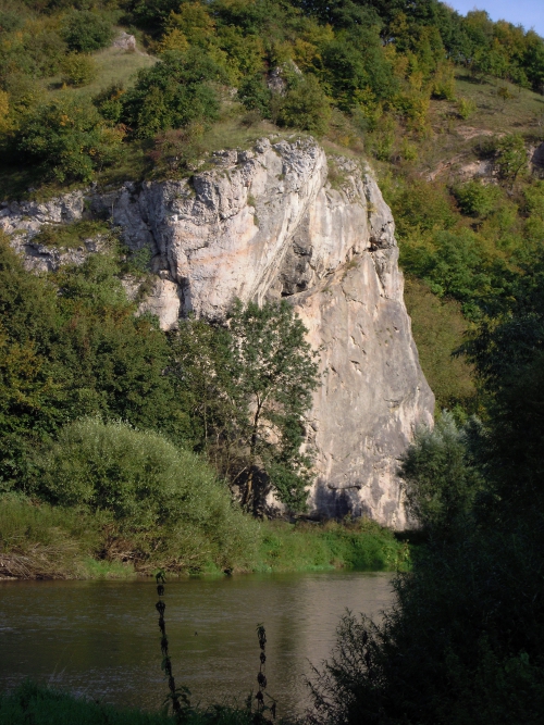 Pupek, nov cesty jsou vlevo dole za stromem