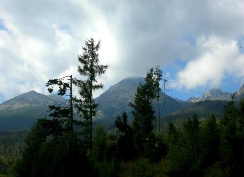 Tatry po vichici