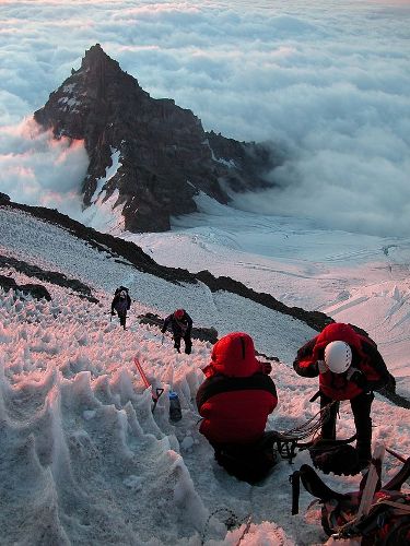 Mt. Rainier