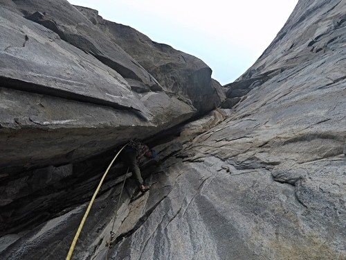 Black dihedral