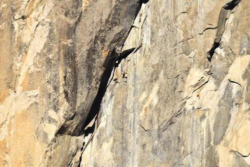 Black dihedral