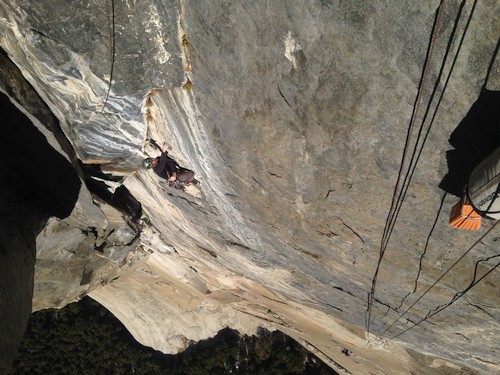 Black dihedral