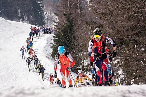 OdK 2018 zvodnci 1