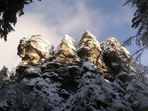 tyi palice