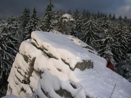 tyi palice