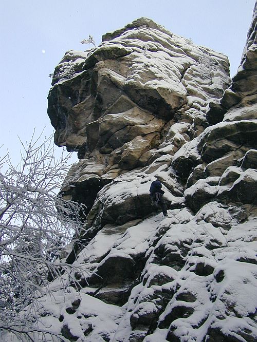 tyi palice