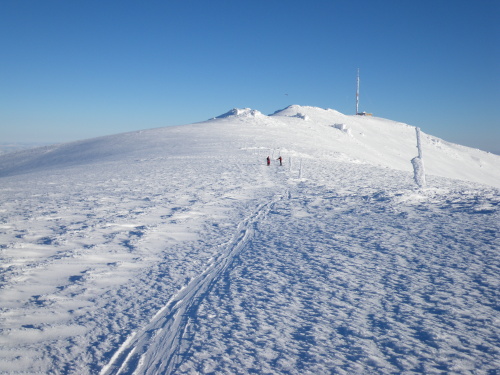 Krova hoa