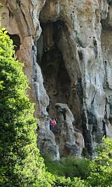 Trebenna West