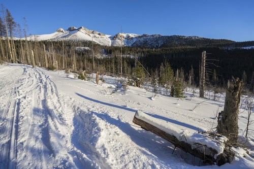 Beliansk Tatry!